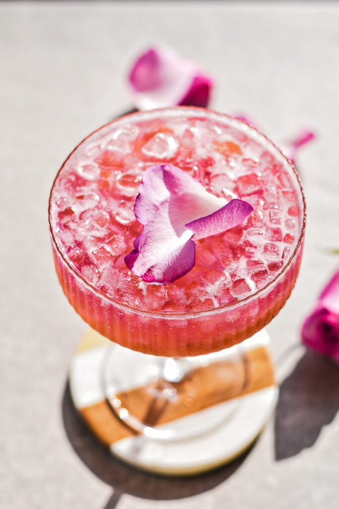 Rhubarb Ginger Gin and Tonic